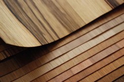 Papier peint en placage de bois