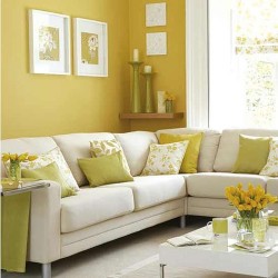 peinture couleur moutarde pour les murs