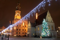 frange led 4