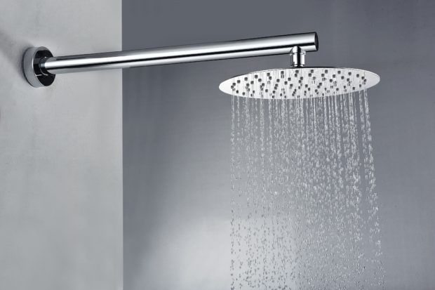 12 conseils sur la pomme de douche à choisir: types, matériau, montage, fabricant