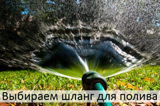 Tuyau d'arrosage de jardin: 7 conseils pour choisir