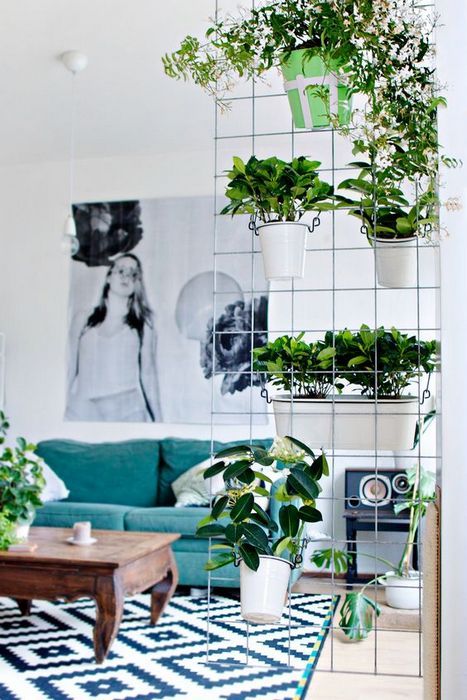Design d'appartement dans des styles modernes: 11 conseils pour organiser + photos