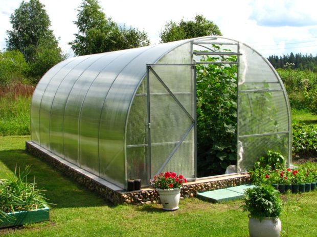 TOP 7 des fabricants russes de serres en polycarbonate