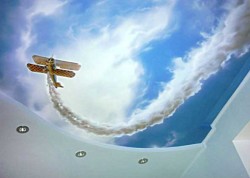 plafond tendu dans la pépinière 5