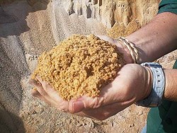 sand10