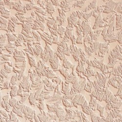 plâtre de silicone