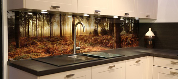 Choisir des peaux pour la cuisine: design, taille, type d'impression