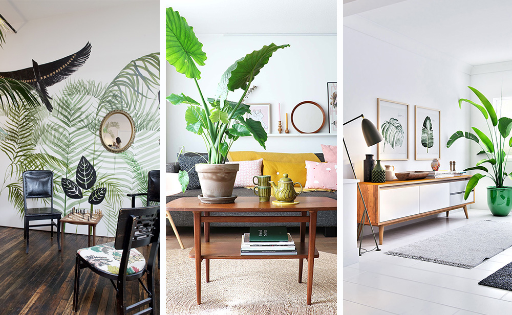 Style tropical à l'intérieur - 6 conseils pour créer + photo