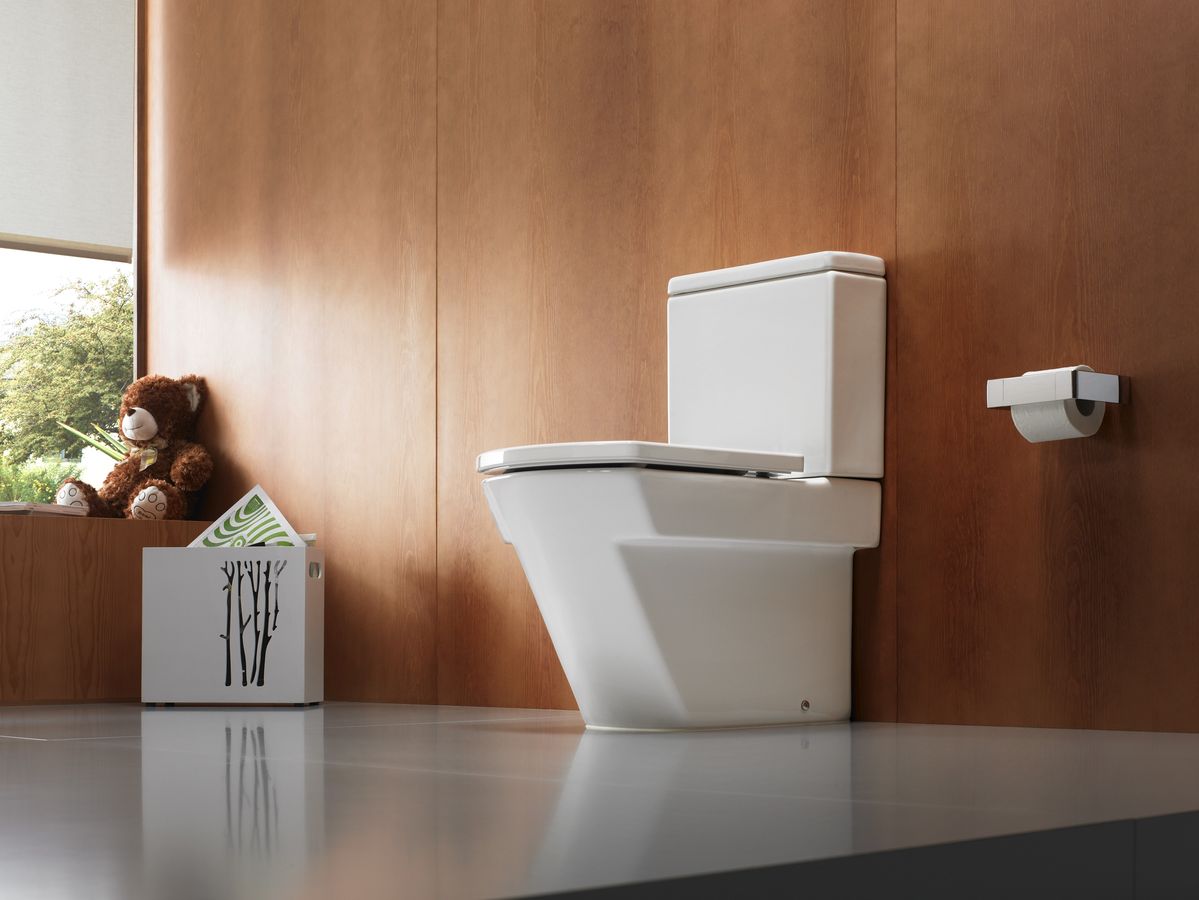 Quelles sont les toilettes et comment les choisir correctement