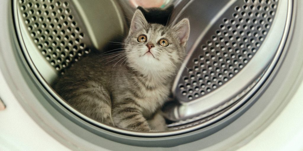 7 façons de nettoyer votre lave-linge de l'odeur, de la saleté et du tartre