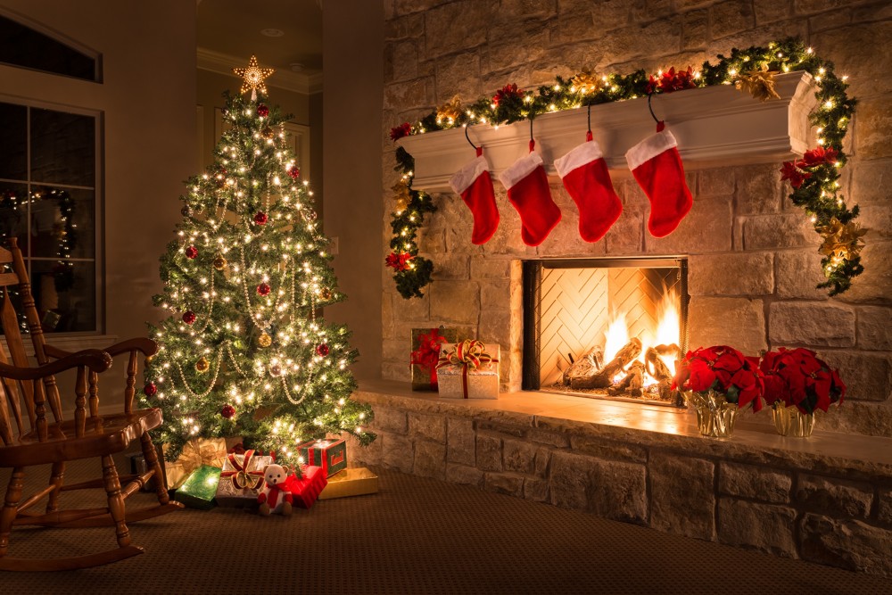 10 conseils pour prendre soin de l'arbre de Noël
